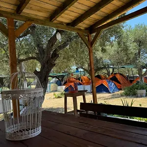 Camping Olive Trees Camping Qeparo